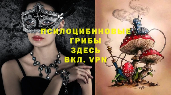 соль ск Алексеевка