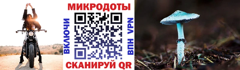 купить закладку  Питкяранта  блэк спрут ONION  Псилоцибиновые грибы прущие грибы 